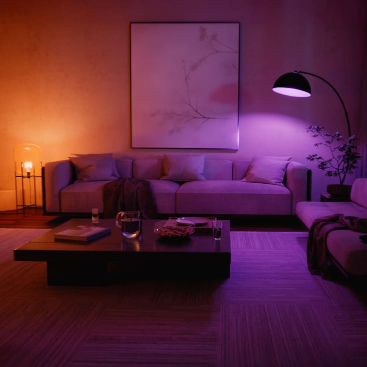 Philips Hue White Color Ambiance lyskilde 1100 lumen A60 E27