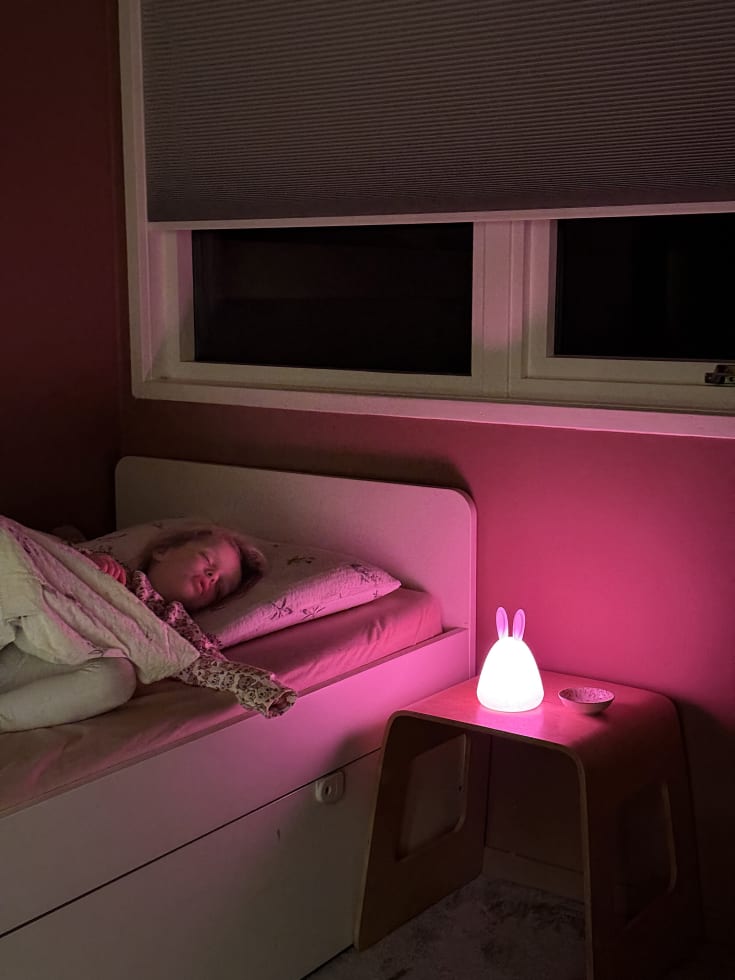 Osram Nightlux kanin natlampe