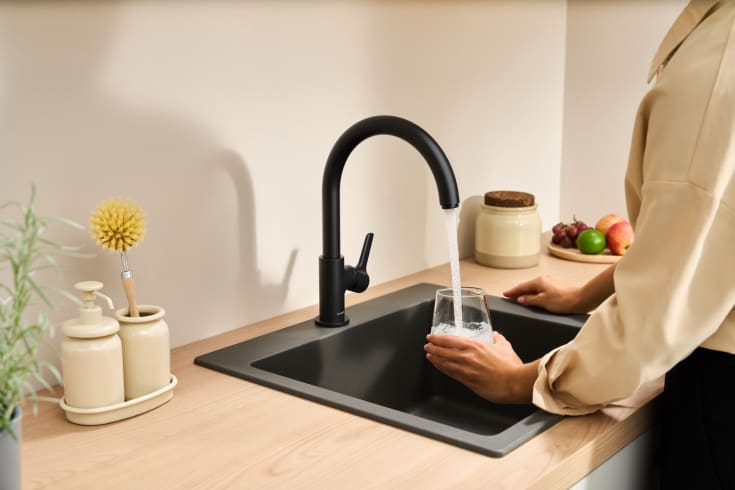 Hansgrohe Waterforms køkkenarmatur, mat sort