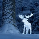 Image thumbnail