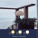 Image thumbnail