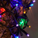 Image thumbnail