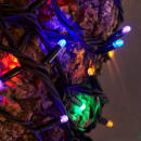 Image thumbnail