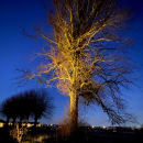 Image thumbnail