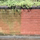 Image thumbnail