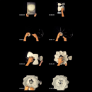 Image thumbnail