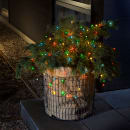 Image thumbnail