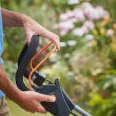 Image thumbnail