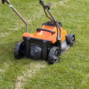 Image thumbnail