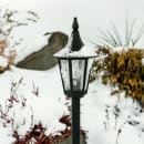 Image thumbnail