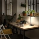 Image thumbnail