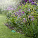 Image thumbnail