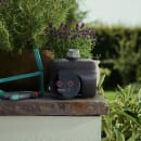 Image thumbnail
