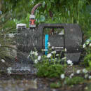 Image thumbnail