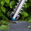 Image thumbnail