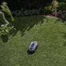 Image thumbnail