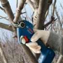 Image thumbnail