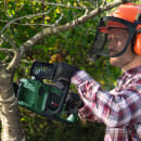 Image thumbnail