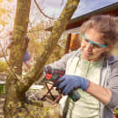 Image thumbnail