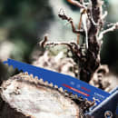 Image thumbnail