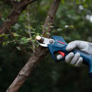 Image thumbnail