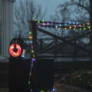 Image thumbnail