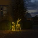 Image thumbnail