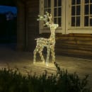 Image thumbnail