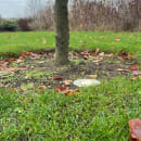 Image thumbnail