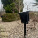 Image thumbnail