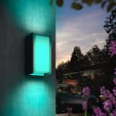 Image thumbnail
