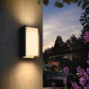 Image thumbnail
