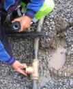 Image thumbnail