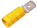 Image thumbnail