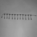 Image thumbnail