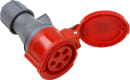 Image thumbnail