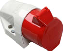 Image thumbnail