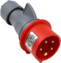 Image thumbnail