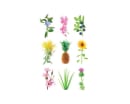 Image thumbnail