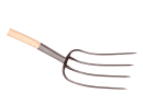 Image thumbnail