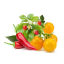 Image thumbnail