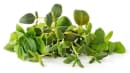 Image thumbnail