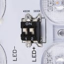 Image thumbnail
