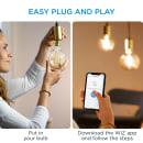 Image thumbnail