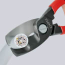 Image thumbnail
