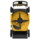 Image thumbnail