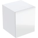 Image thumbnail
