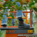 Image thumbnail