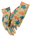 Image thumbnail