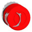 Image thumbnail